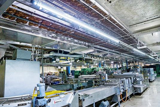 Food Processing Lighting