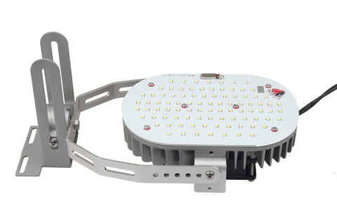 HID OUTDOOR RETROFIT KIT W/EXTERNAL DRIVER (TULIP B) Maverick LED