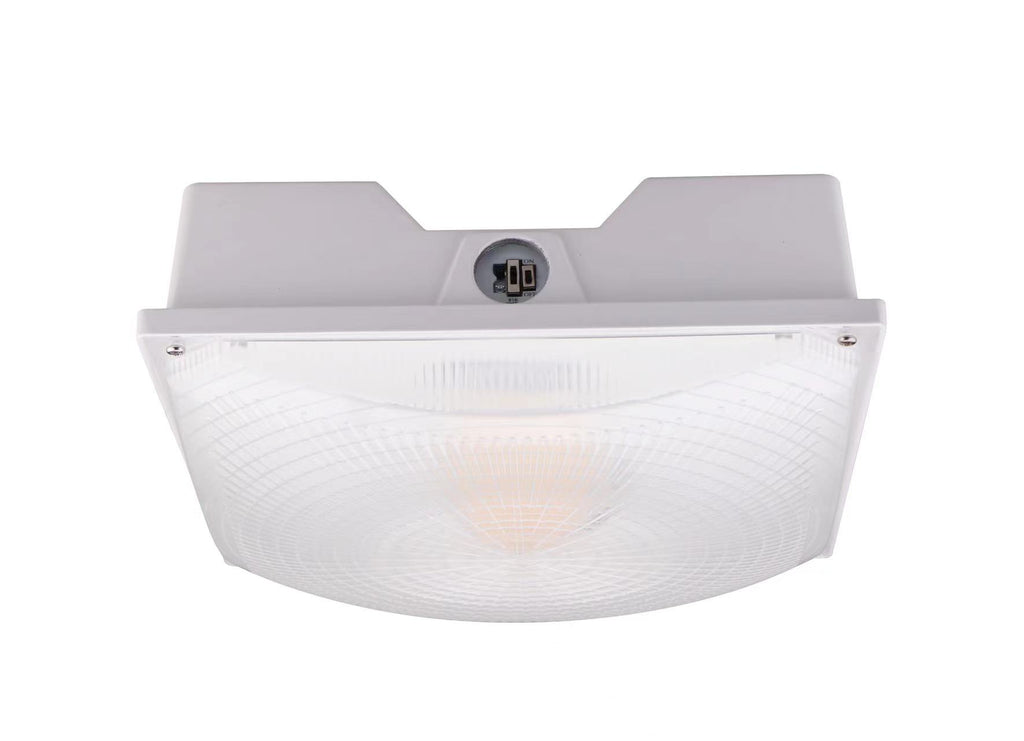 LED PARKING GARAGE LIGHT (KODIAK G)