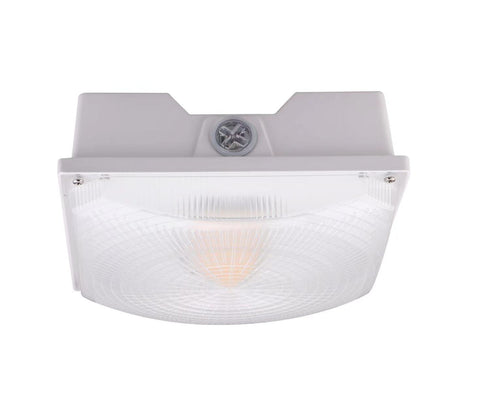 LED PARKING GARAGE LIGHT (KODIAK G)