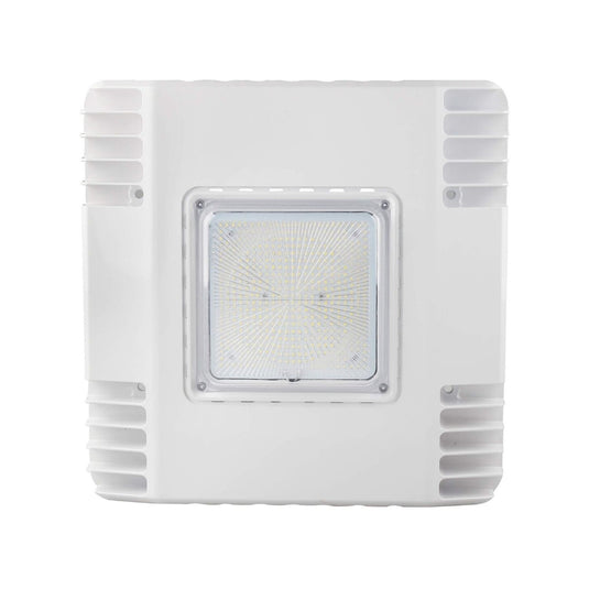 LED PETROLEUM CANOPY LIGHT (LYNX GSR)