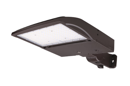 LED AREA LIGHT (LION SSR)
