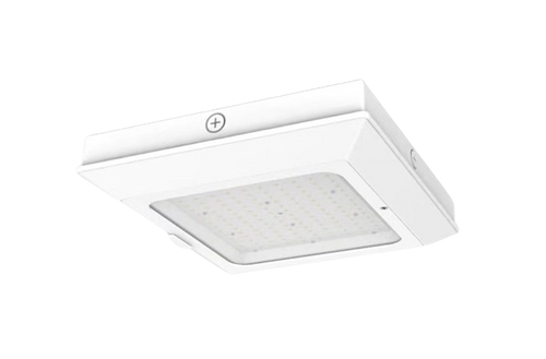 LED CANOPY FIXTURE (HERCULES GSR)