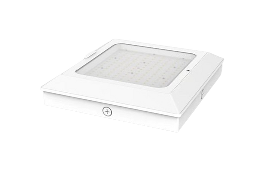LED CANOPY FIXTURE (HERCULES GSR)