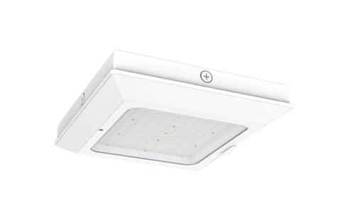 LED CANOPY FIXTURE (HERCULES GSR)