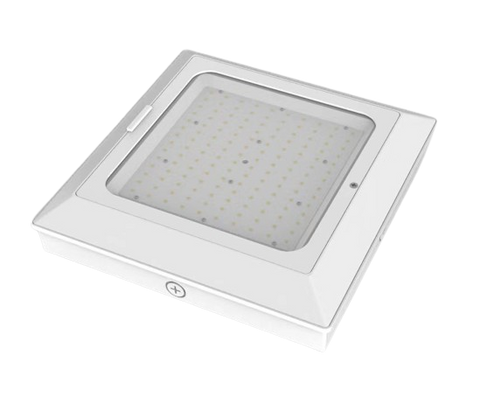 LED CANOPY FIXTURE (HERCULES GSR)