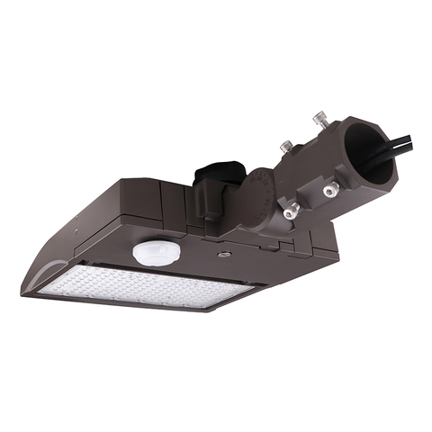 LED AREA LIGHT (LION SSR)