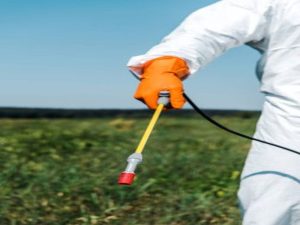 Pest Control Products Recommended for Sydney Residents